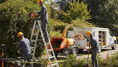 Shrub removal service in Saint Petersburg, FL by Arbor Tree Care for overgrown landscape cleanup
