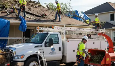 Storm damage tree cleanup in Saint Petersburg, FL by Arbor Tree Care crew