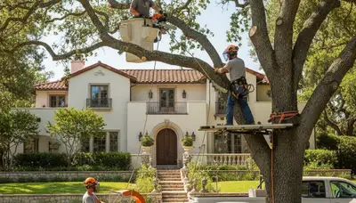 Tree removal crew serving Saint Petersburg, FL for safe, professional tree service