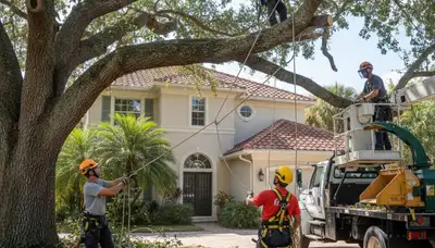 Tree removal crew serving Saint Petersburg, FL with professional tree service equipment
