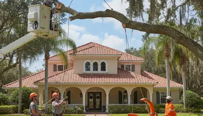 Tree removal crew serving Saint Petersburg, FL with professional tree care services