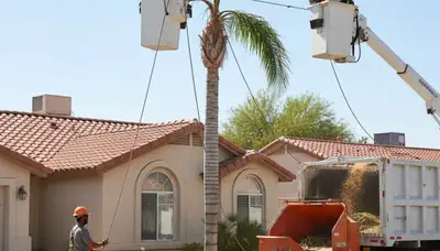 Tree removal team serving Saint Petersburg, FL for safe, professional tree care